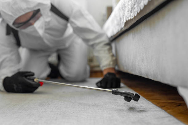 Professional Cockroach Control technician working in Greentown, OH
