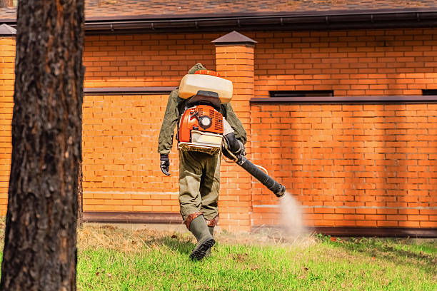 Trusted Cockroach Control service in Greentown, OH - Nex Pest Control